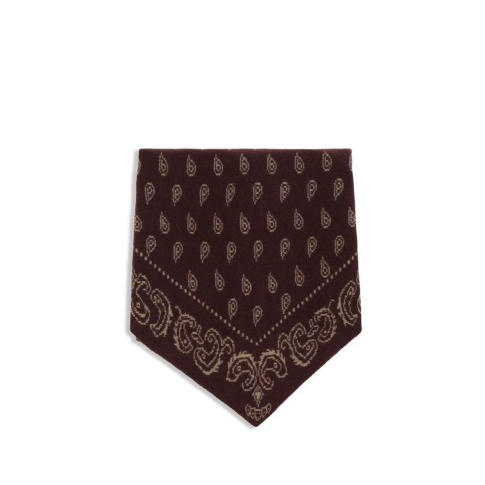 Guest in Residence Brown Cashmere Women's Scarf